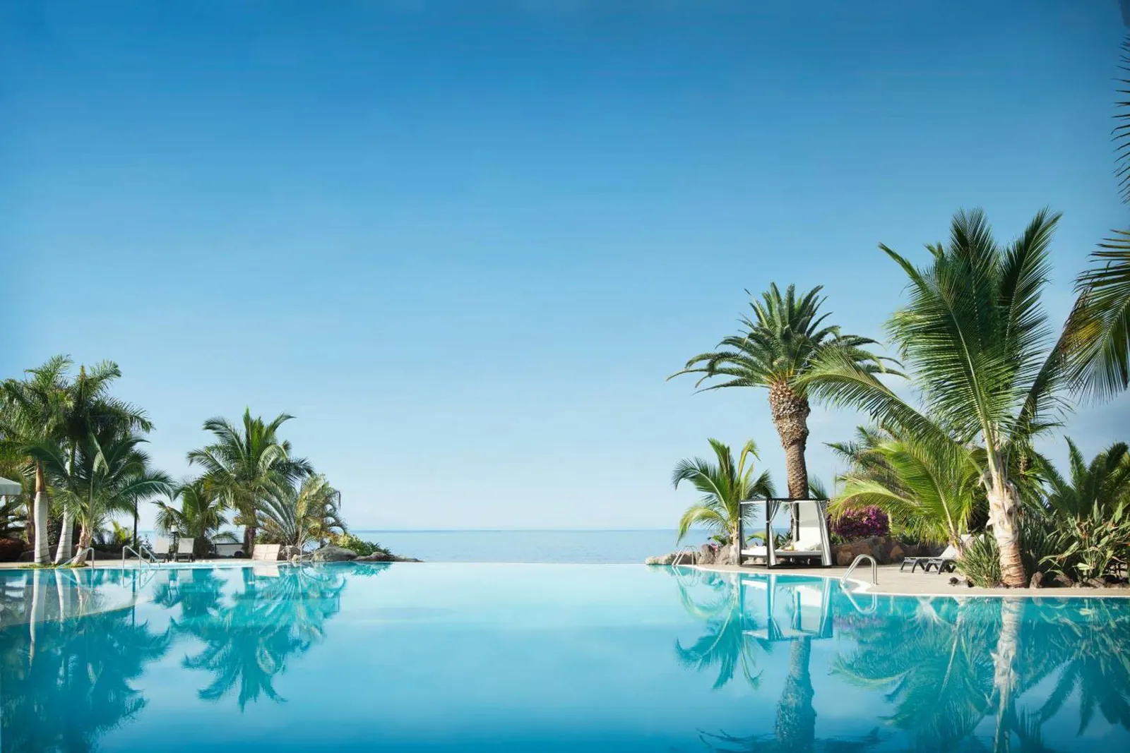 Infinity-edge pool with palm trees