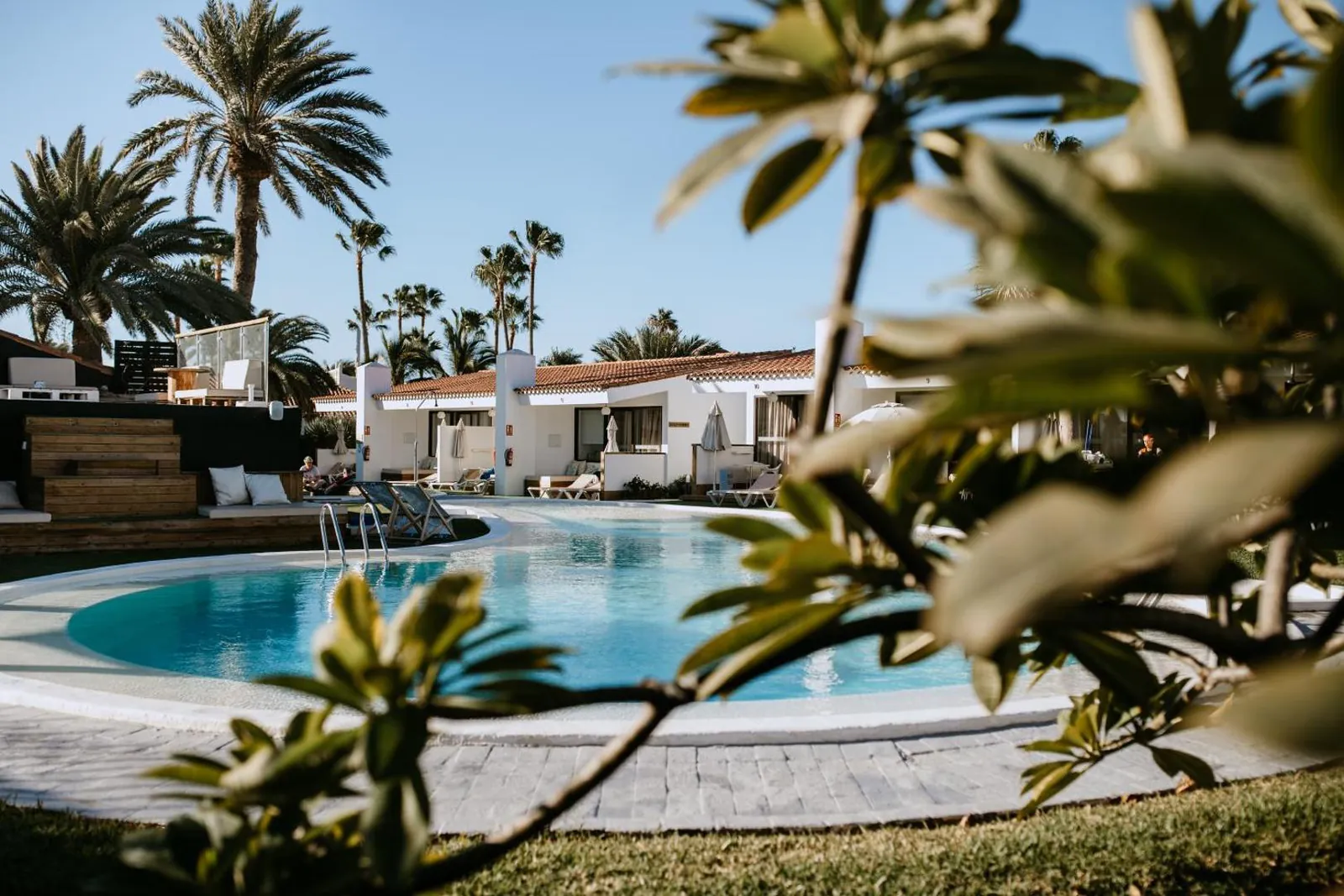 Pool framed by palm fronds, with bungalows and loungers behind