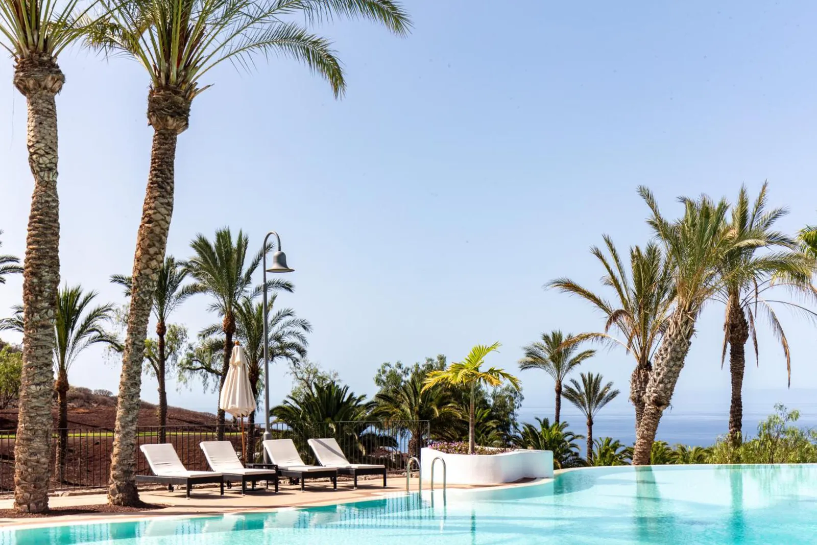 Palms and loungers along the infinity pool with the ocean on the horizon