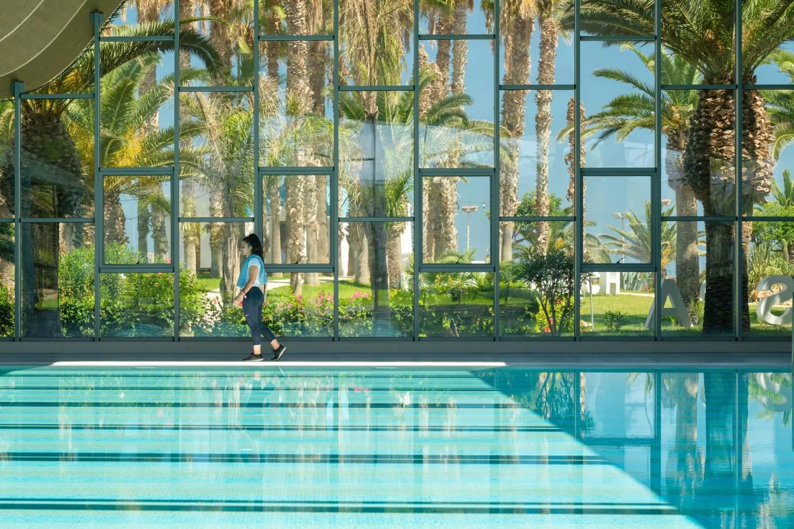 Indoor pool under a glass roof looking out onto palms