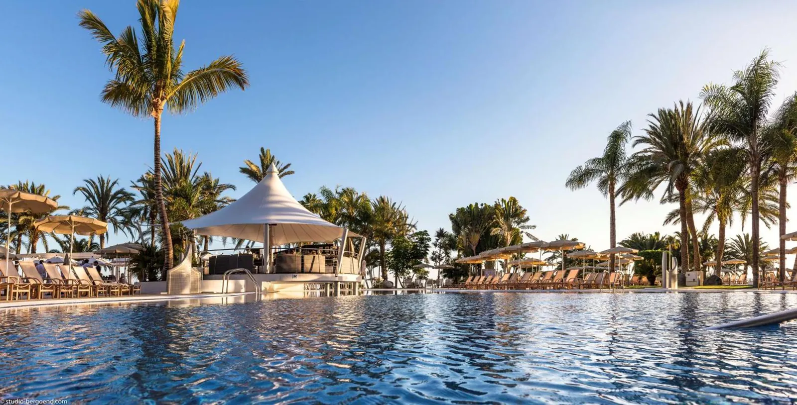 Outdoor pool fringed with palm trees and white parasols under a clear sky
