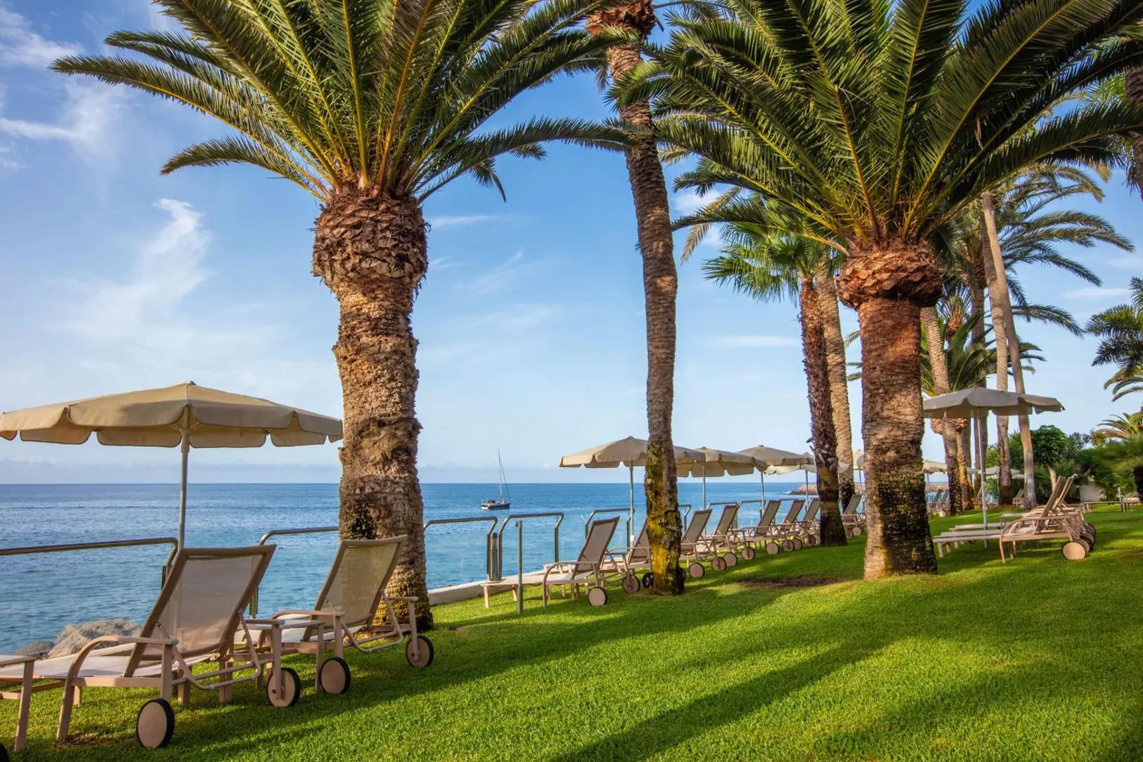 Lawn with loungers and parasols under palms, right above the sea