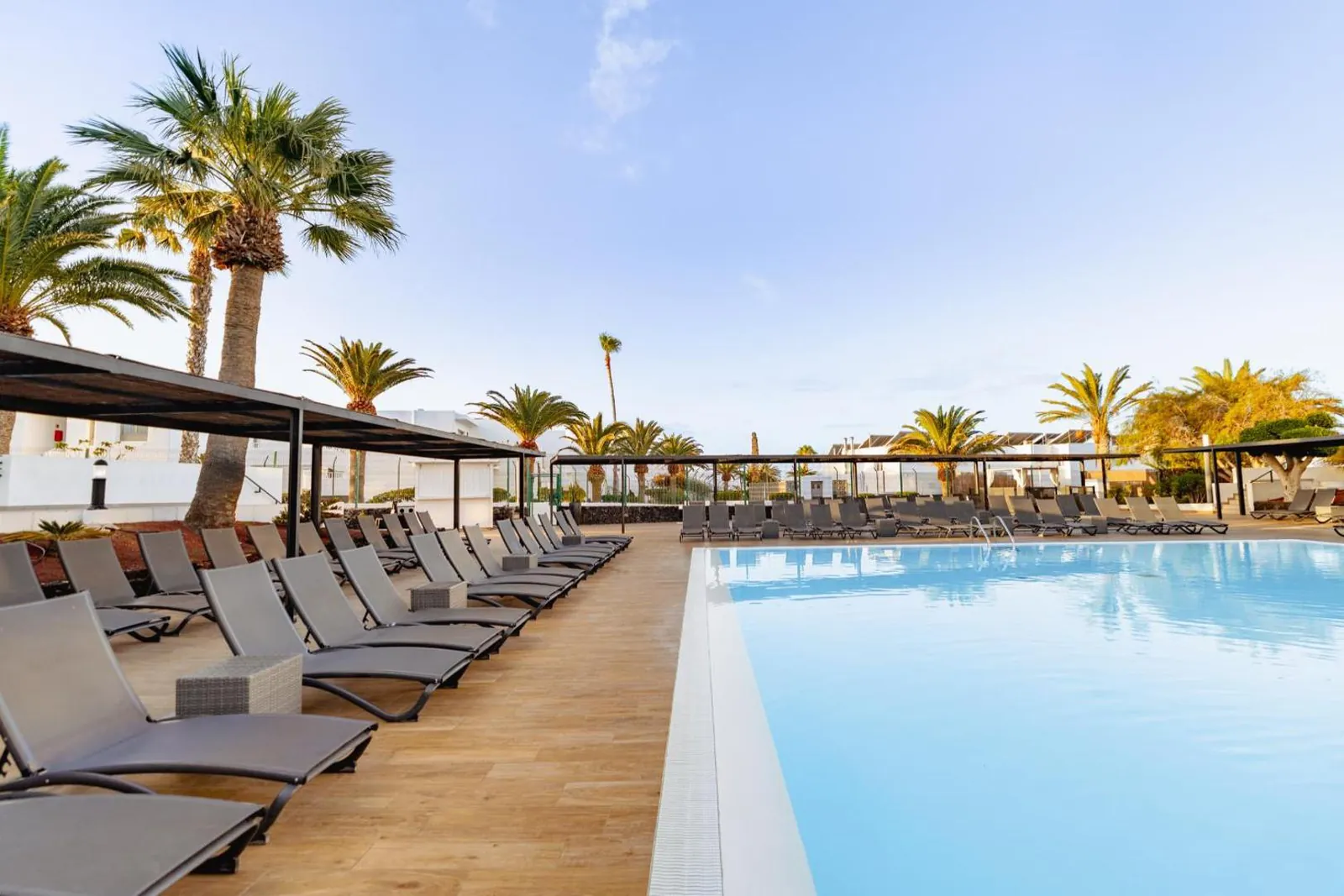Long outdoor pool lined with grey loungers and palms at SENTIDO Aequora