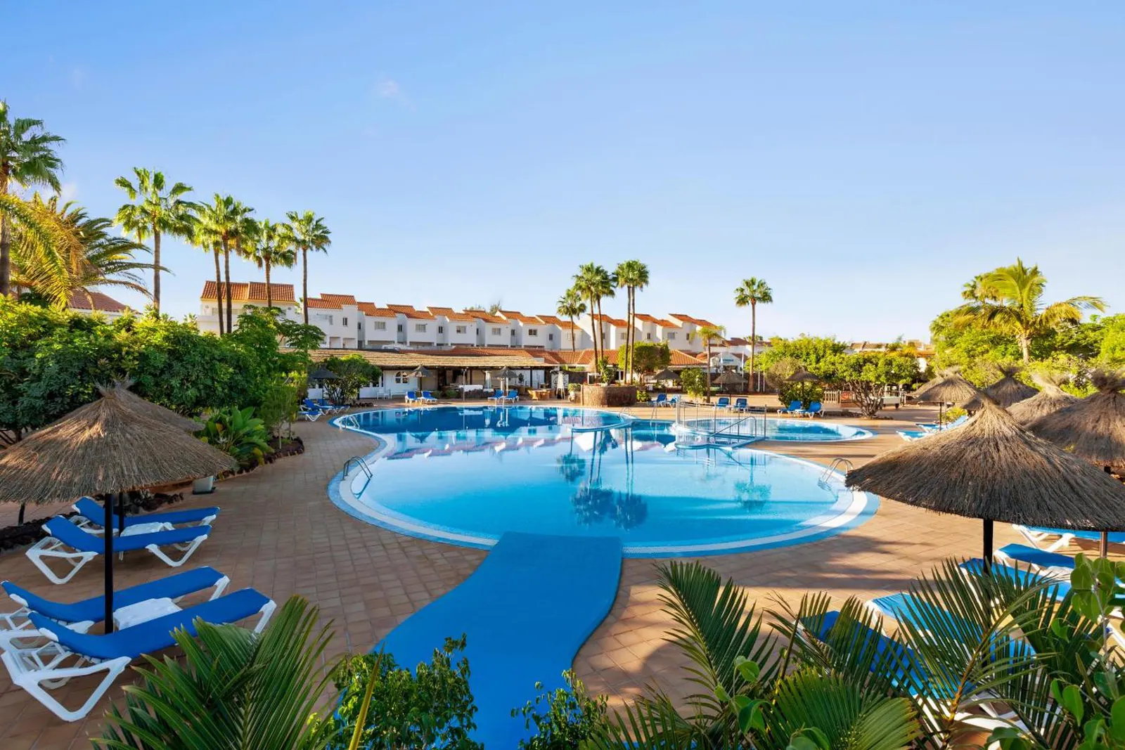 Sun loungers and palm trees on the pool terrace